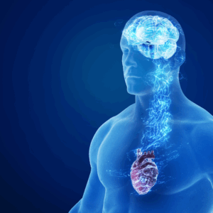 Mindset and Energy Healing - 60 minutes